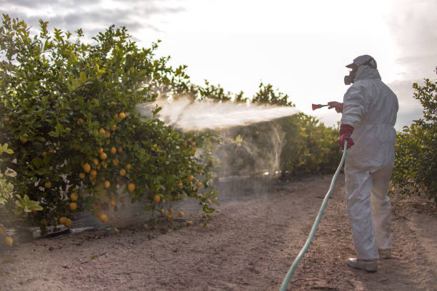 Best Mosquito Control Services  in Lander, WY